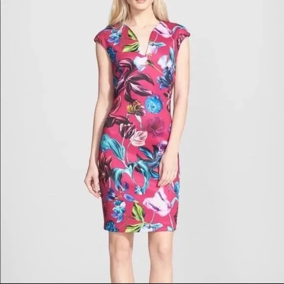 Ted Baker London Arya Floral Print Midi Dress Nwt Size 5